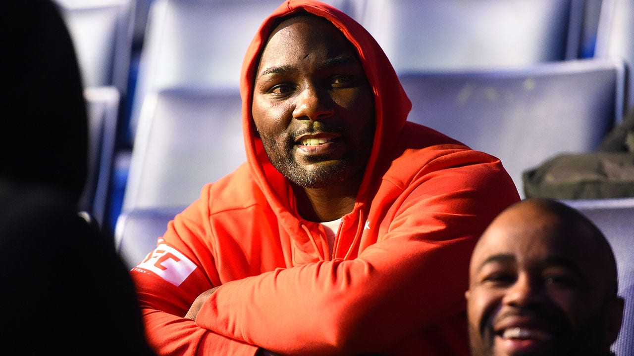    Anthony Johnson Rumble          MMA